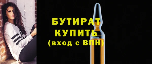 индика Няндома