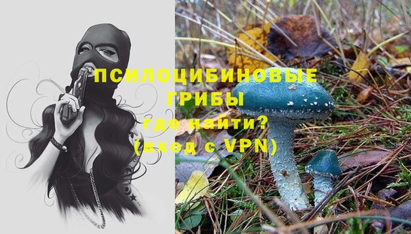 jwh Нязепетровск