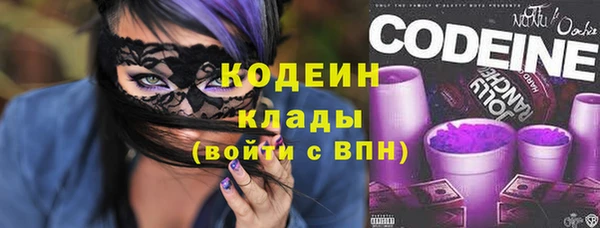 индика Няндома